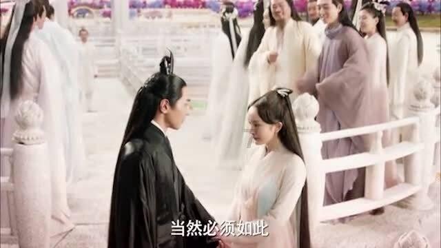 这本书讲什么的